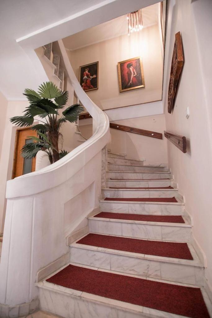 Vila Zeno Brašov Exteriér fotografie